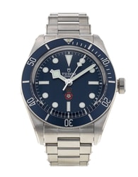 Tudor Black Bay 58 79030B-JUB